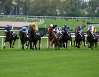 Un jour aux courses