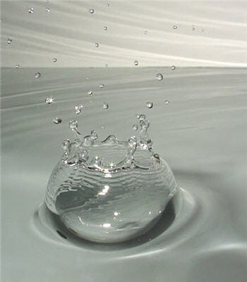 la vie est apparue sur terre dans l'eau ; on parle de 'soupe primitive'.