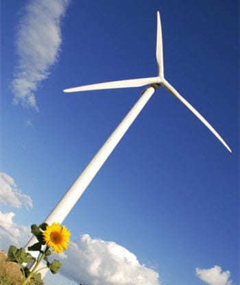 la france tente de se mettre à l'éolien ce qui n'est pas au goût de tous.
