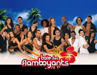 Baie des flamboyants : Défenses