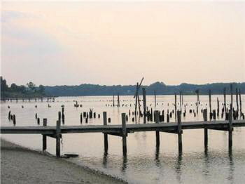 cette baie du maryland est gangrénée par toutes les pollutions humaines.