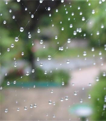 l'eau retourne au sol sous forme de pluie ou alors de neige.