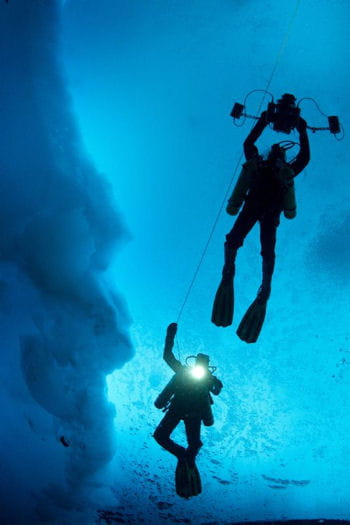 cent plongées sous la glace sont prévues au programme. du jamais vu !