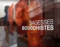 Sagesses bouddhistes : Complexité du karma