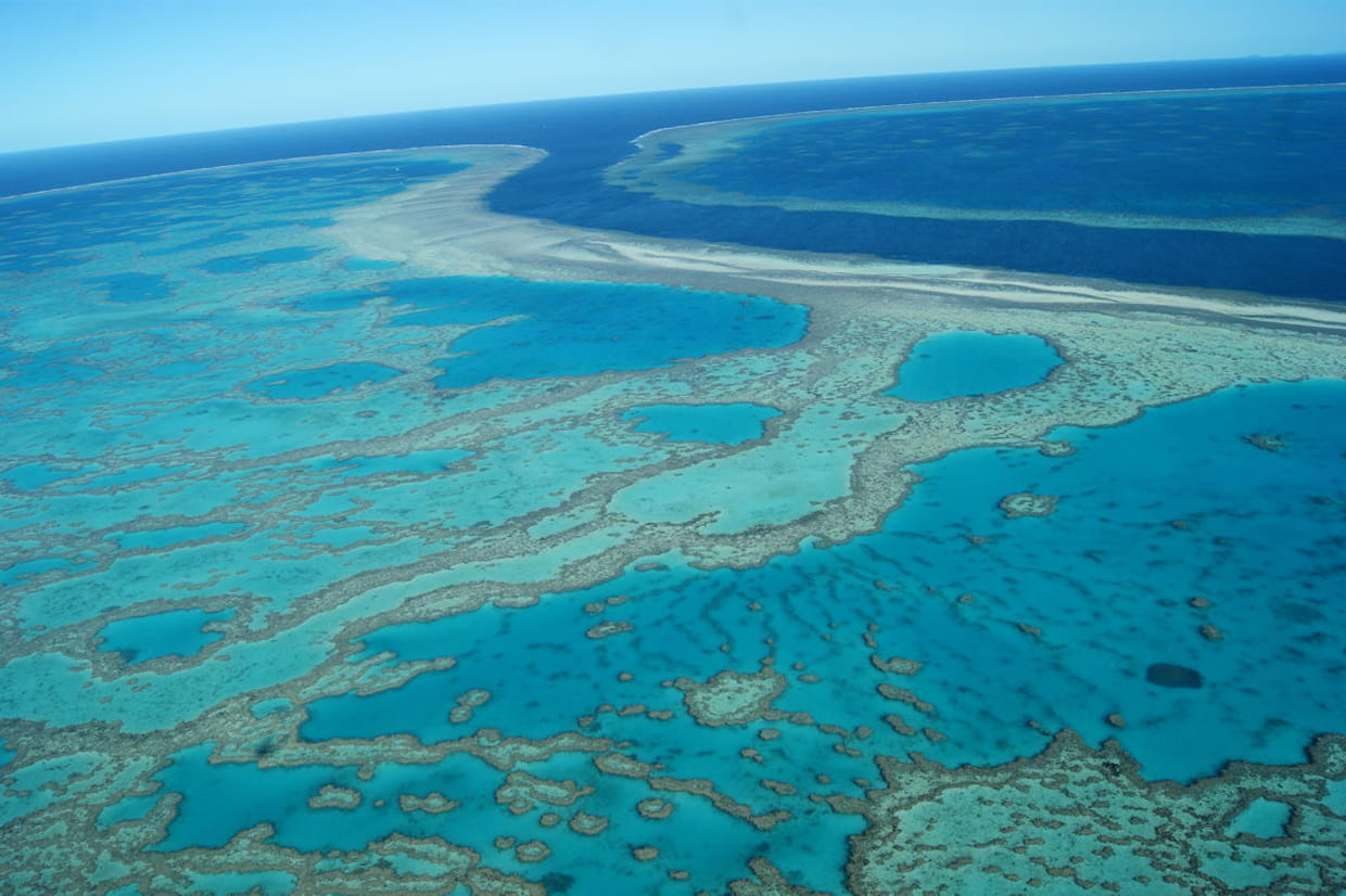 La grande barrière de corail, Australie La grande barrière de corail, Australie