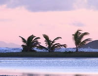 Au fil des Antilles, de la Martinique à Saint-Barthélémy