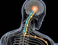 L'effet placebo