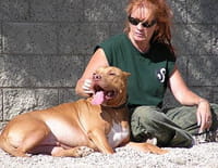 Pitbulls et prisonniers : Les rescapés de Katrina