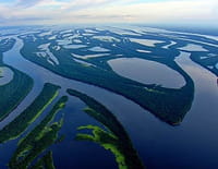 Indonésie sauvage : Amazonie, berceau de la vie