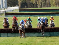 Un jour aux courses