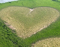 Nouvelle-Calédonie insolite