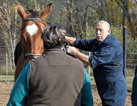 L'incroyable Dr Pol : Ou l'extraordinaire Dr Brenda