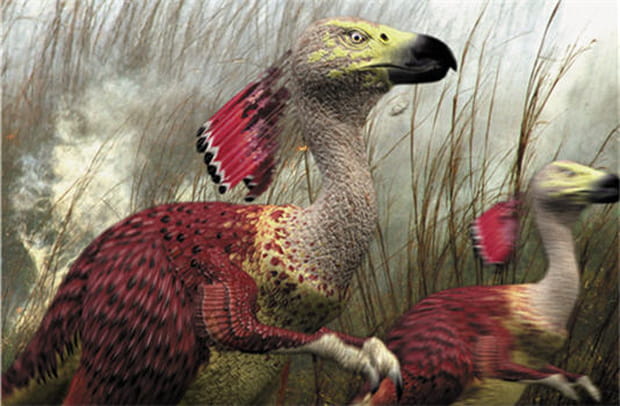 Les futurs animaux de la Terre