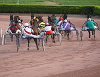 Un jour aux courses