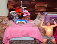16 ans et enceinte : Yvonne