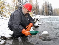 Alaska : La ruée vers l'or : Part maudite