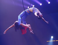 Une saison au cirque