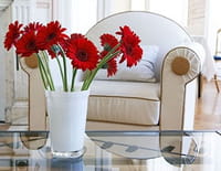 La maison France 5 : Carafes et verres design