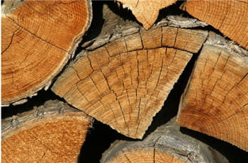 la biomasse comprend toutes les matières organiques telles que le bois, le