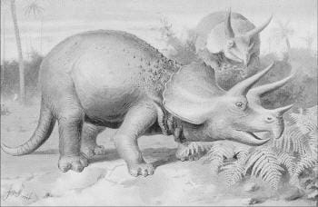 animal vivant en groupe, le tricératops se servait aussi de ses cornes pour