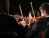 Brahms : sonates pour piano n°1, 2 & 3