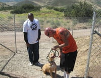 Pitbulls et prisonniers : Tel maître, tel chien