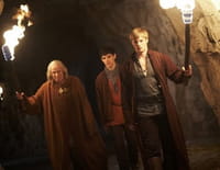 Merlin : Le gobelin
