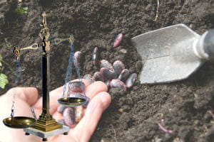 les horaires pour jardiner sont encadrés par arrêté municipal.