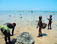 Jarawa, entre ciel et mer