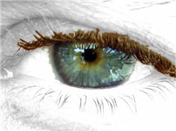 la forme de l'iris est propre à chaque individu comme les empreintes digitales.