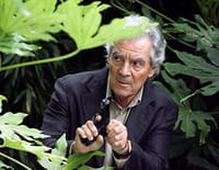 Sauveur Giordano : Harcèlements