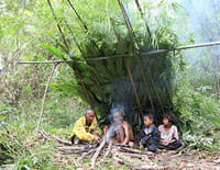 Mlabri, à l'ombre de la canopée