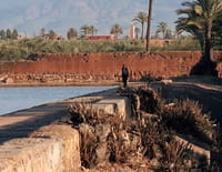 Jardins d'ici et d'ailleurs : Agdal (Maroc)