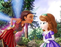 Princesse Sofia : La princesse et les protecteurs