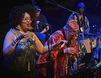 Banlieues bleues 2015 : The Sun Ra Centennial Arkestra