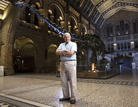 Le Museum prend vie