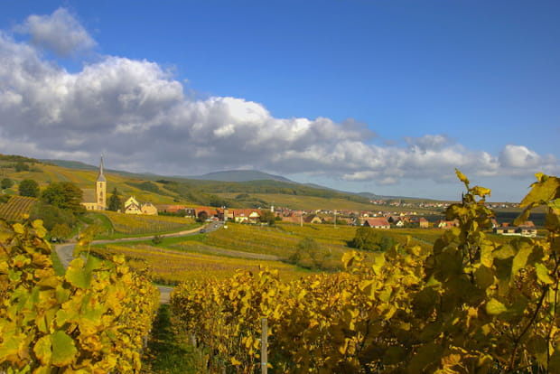 Les plus beaux sites de la route des vins d'Alsace