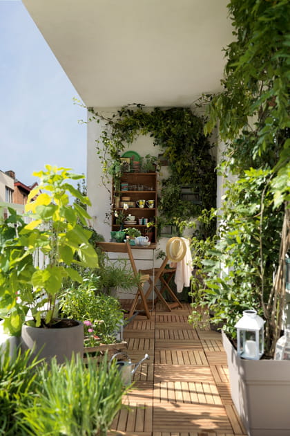 Un mini terrasse verdoyante