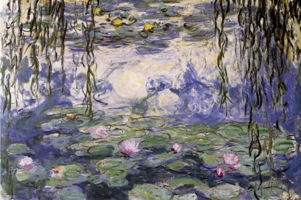 Saule pleureur et nymphéas