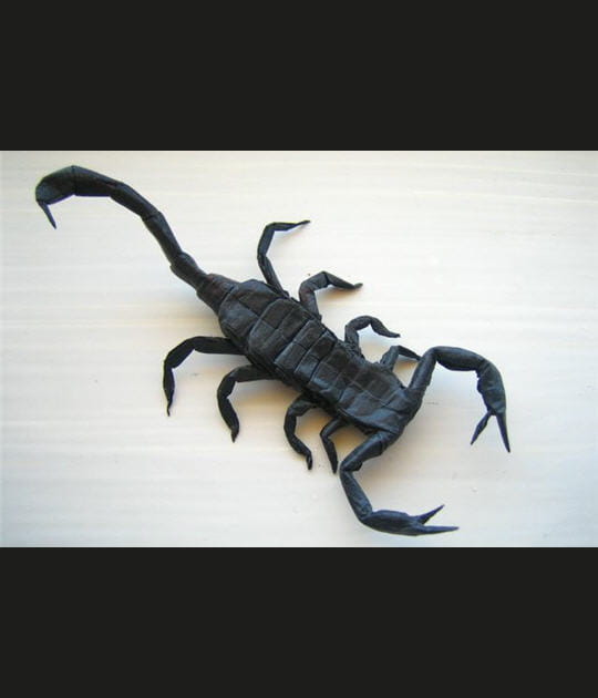 Scorpion