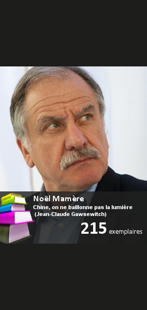 Flop&nbsp;: &quot;Chine, on ne b&acirc;illonne pas la lumi&egrave;re&quot; de&nbsp;No&euml;l&nbsp;Mam&egrave;re