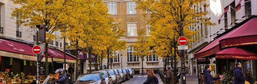 &quot;Un m&eacute;lange entre du vomi et des chaussettes sales&quot;&nbsp;: une odeur infecte envahit certaines rues, la cause est toujours la m&ecirc;me