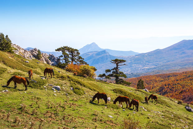 Le parc national du Pollino