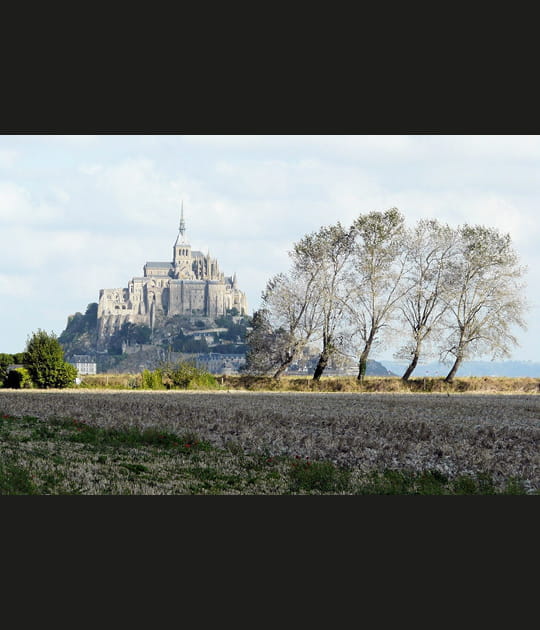 Vue des pr&eacute;s sal&eacute;s