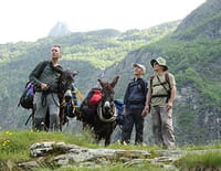 Sur la piste des papillons géants
