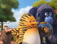 Les as de la jungle à la rescousse : Les As sont dans la place