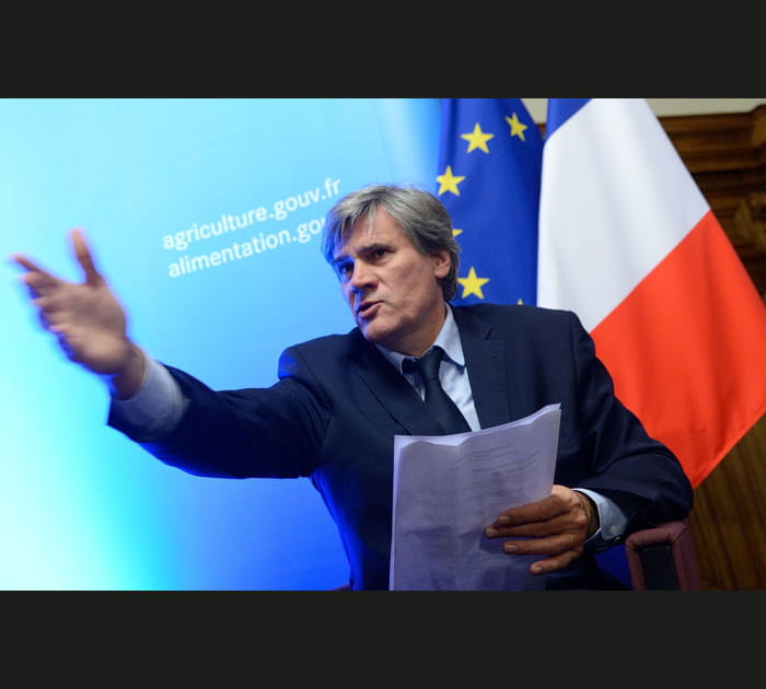 St&eacute;phane Le Foll, nouveau porte-voix