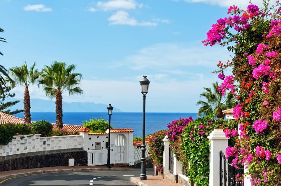 Los Gigantes