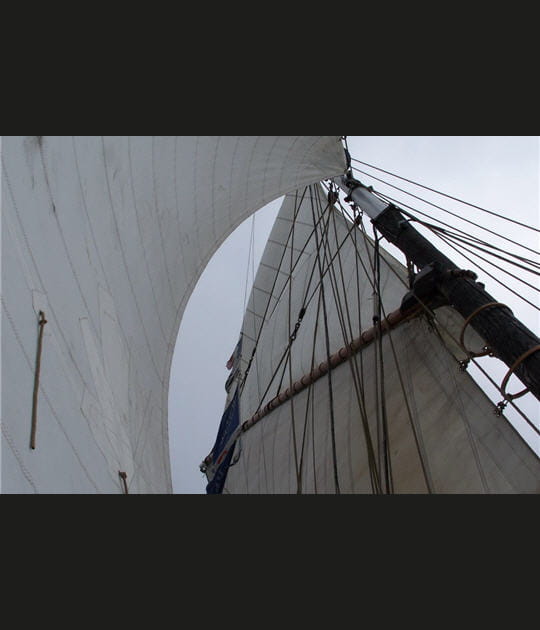 Une voilure de 200m2