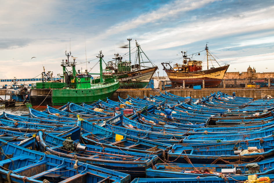Nos 20&nbsp;coups de c&oelig;ur pour une vir&eacute;e marocaine en hiver&nbsp;: Visiter le port de p&ecirc;che